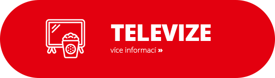 Televize